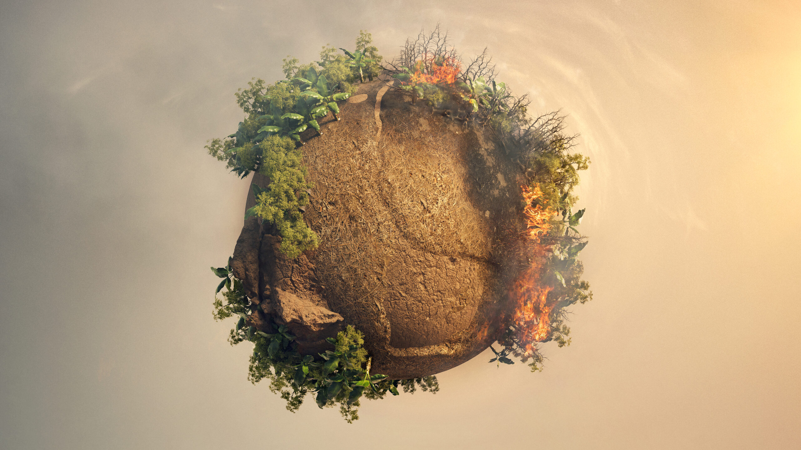 weather-effects-with-dessert-trees